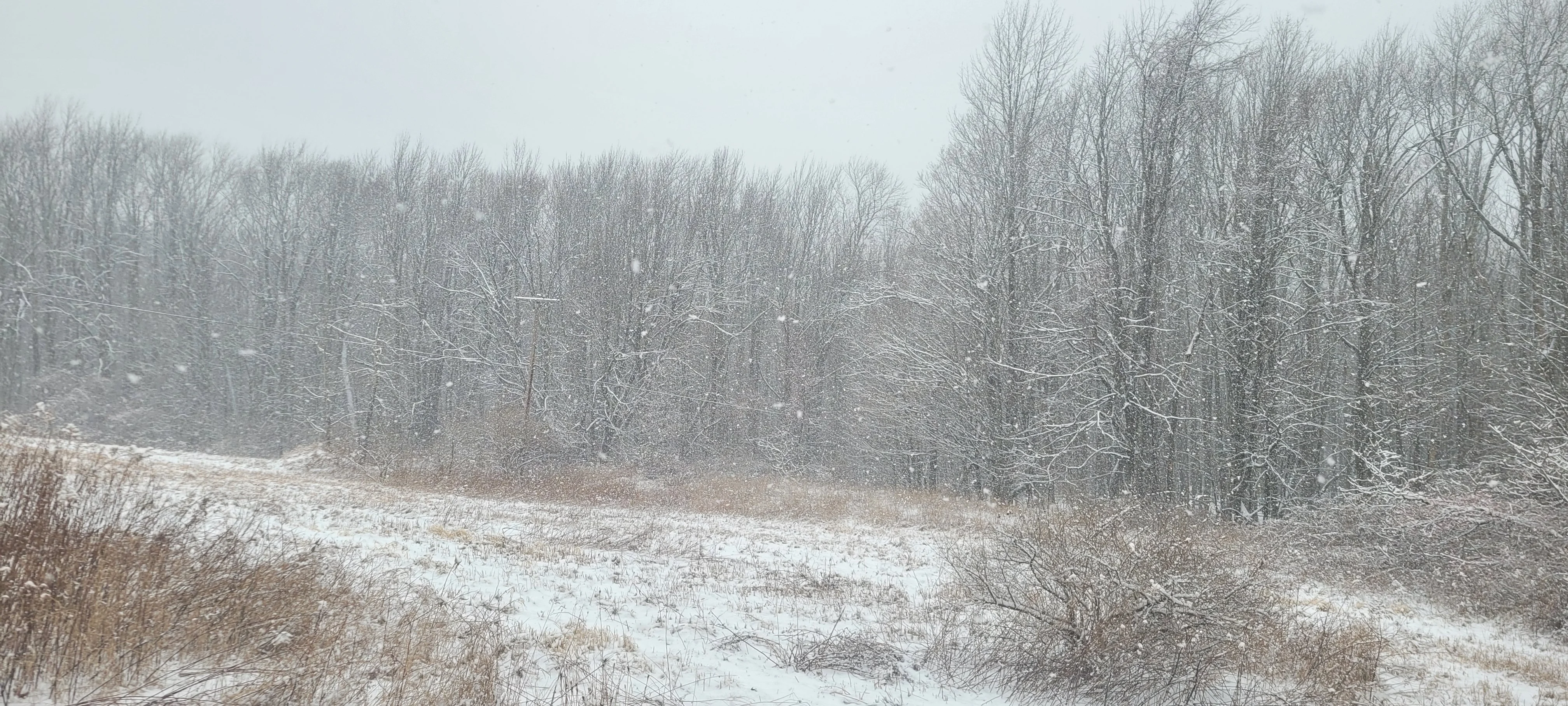 35c40183-5b1a-4bec-81ca-2527e938cacd-1_all_2359.webp